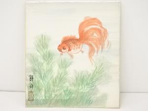 錦艸造「金魚」図　色紙
